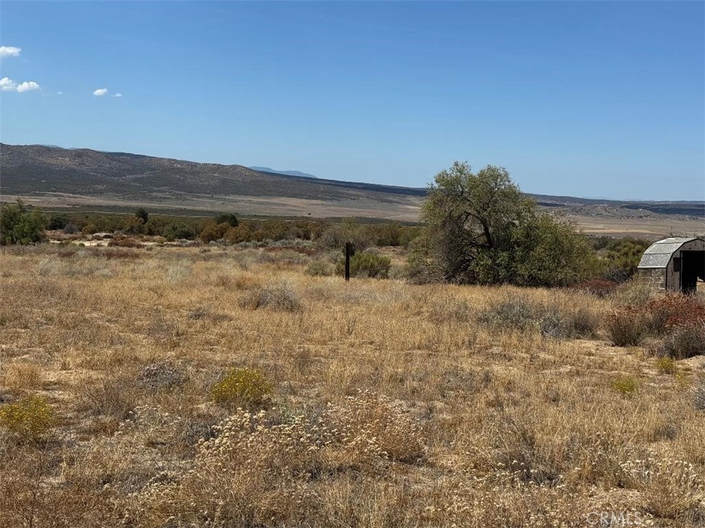 a view of a dry yard with trees