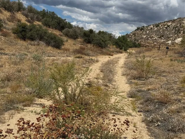 a view of a dry yard