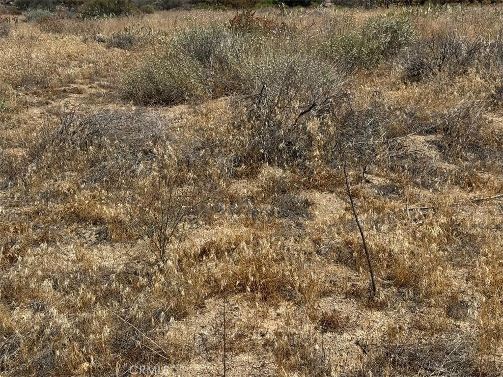 0 Kool Vista Anza, CA 92539 - Photo 15 of 38 a view of a dry yard