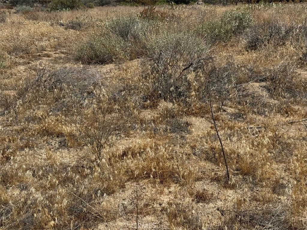0 Kool Vista Anza, CA 92539 - Photo 17 of 38 a view of a dry yard