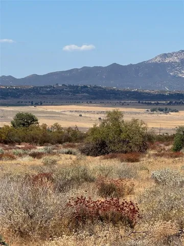 a view of ocean view with large trees
