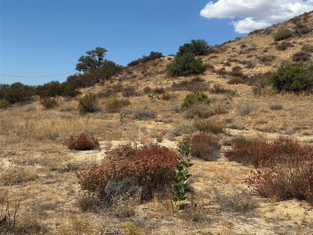 0 Kool Vista Anza, CA 92539 - Photo 20 of 38 a view of ocean view with large trees