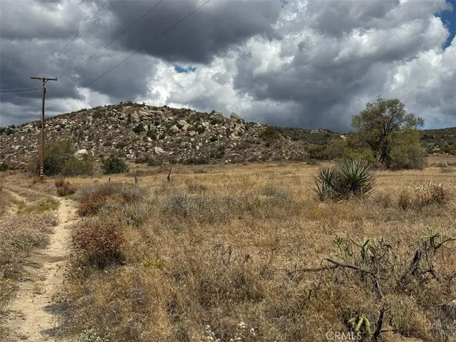 a view of a yard with a tree