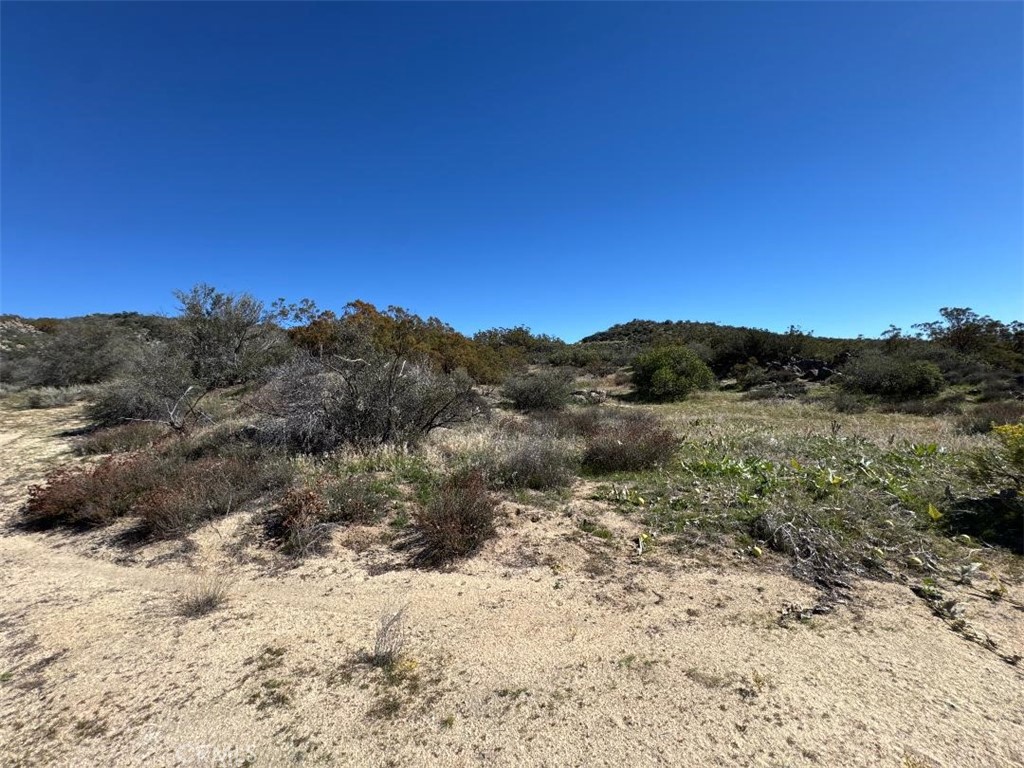 0 Kool Vista Anza, CA 92539 - Photo 25 of 38 a view of a yard with a tree