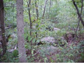 1870 Dodd Branch Road Greeneville, TN 37743 - Photo 3 of 8 Photo 3