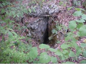 1870 Dodd Branch Road Greeneville, TN 37743 - Photo 6 of 8 Photo 6