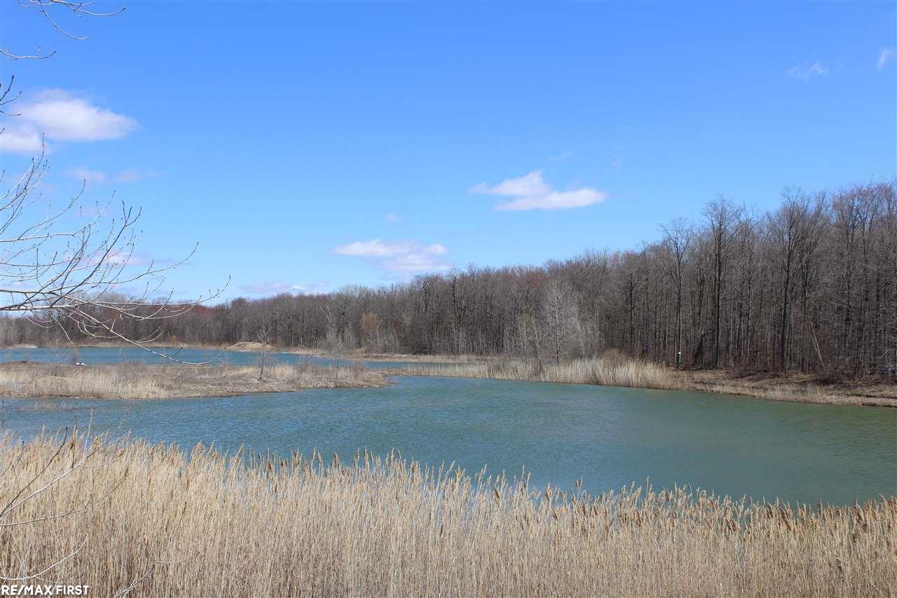 0 Connell Road Yale, MI 48097 - Photo 1 of 22