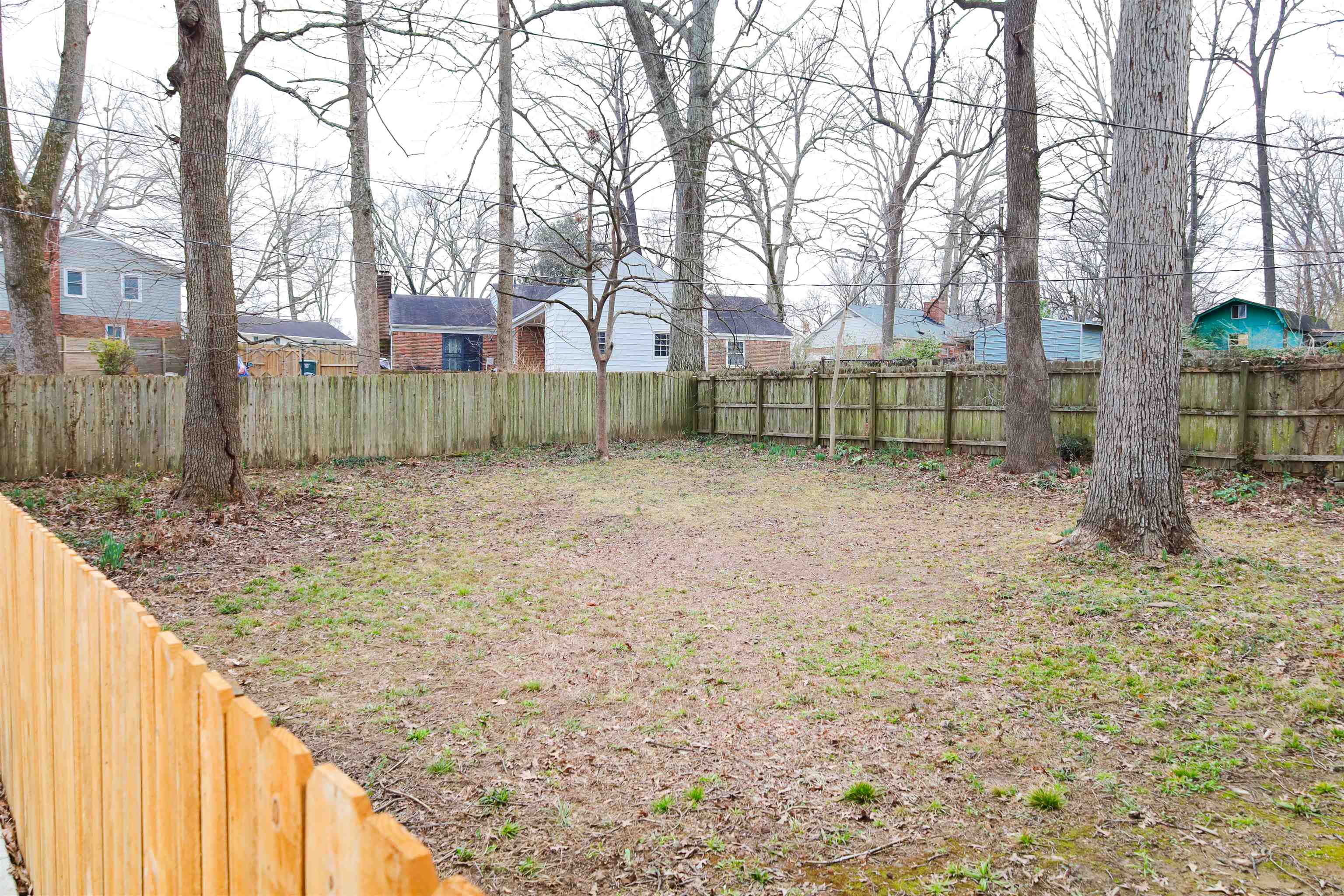 4843 Rolling Fields Drive Memphis, TN 38128 - Photo 21 of 22 View of yard