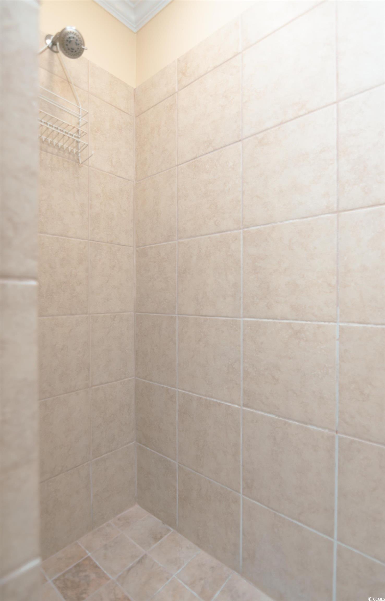 1919 Spring Street, Unit B16 North Myrtle Beach, SC 29582 - Photo 25 of 40 Bathroom with ornamental molding and a tile shower