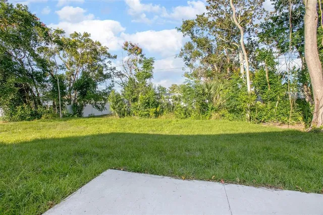 a view of garden with trees