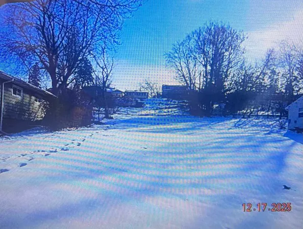 a view of a yard with tree s