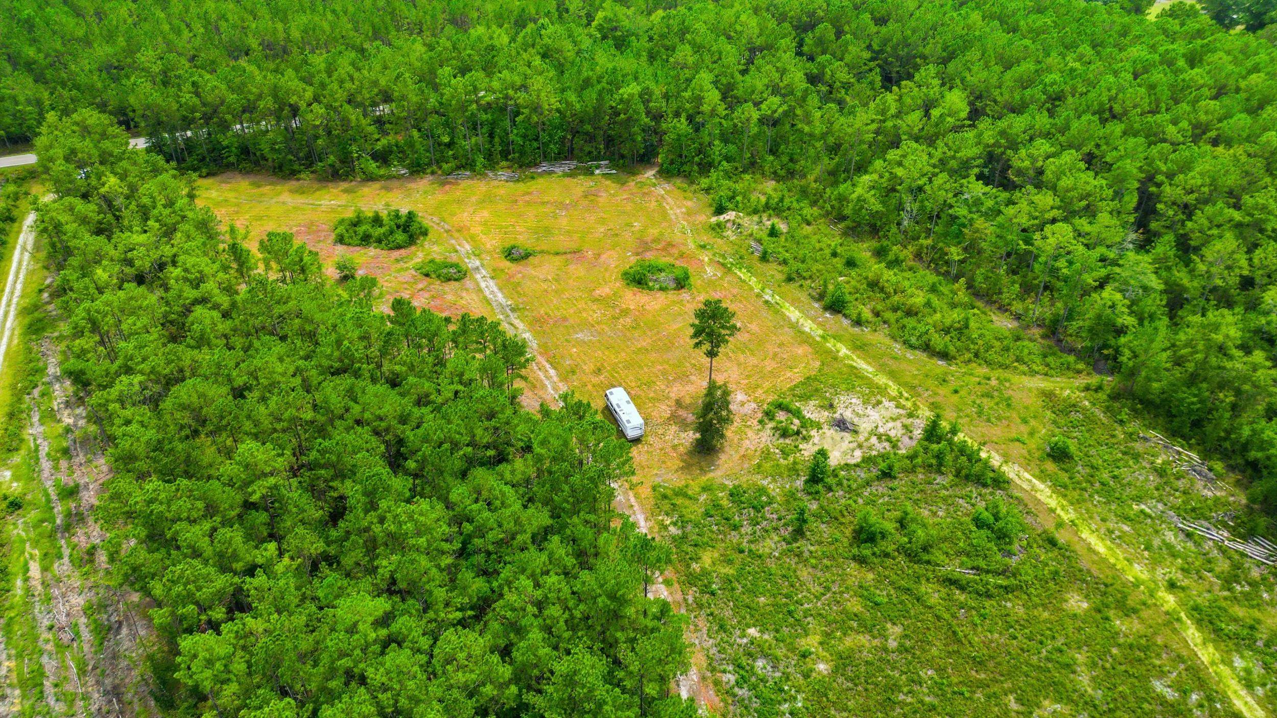 Tbd Williams Hill Road Hemingway, SC 29554 - Photo 10 of 27 Gallery Image 10