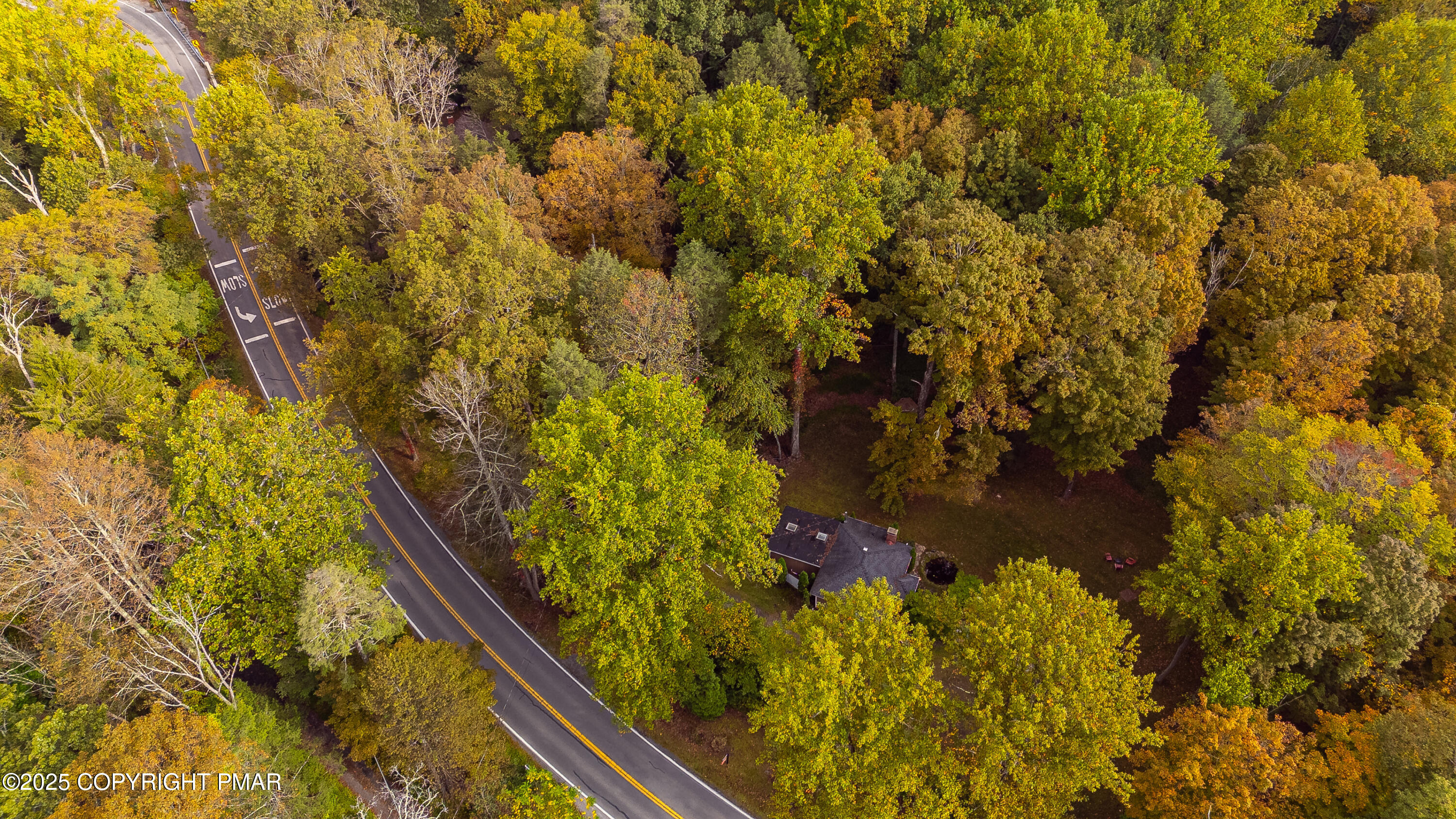 1885 Sullivan Trail Tannersville, PA 18372 - Photo 44 of 46 a picture of tree