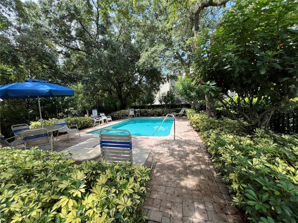 1383 Curlew Road Dunedin, FL 34698 - Photo 49 of 56 Gallery Image 49