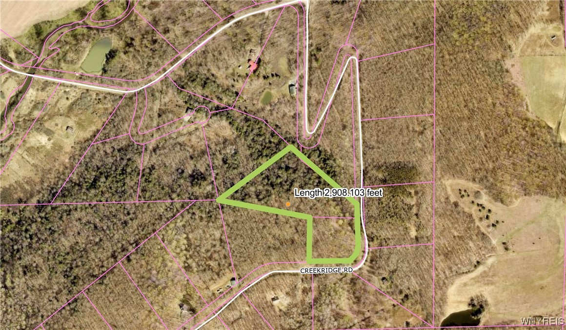 26-27 Creek Ridge Road Ellicottville, NY 14731 - Photo 12 of 12