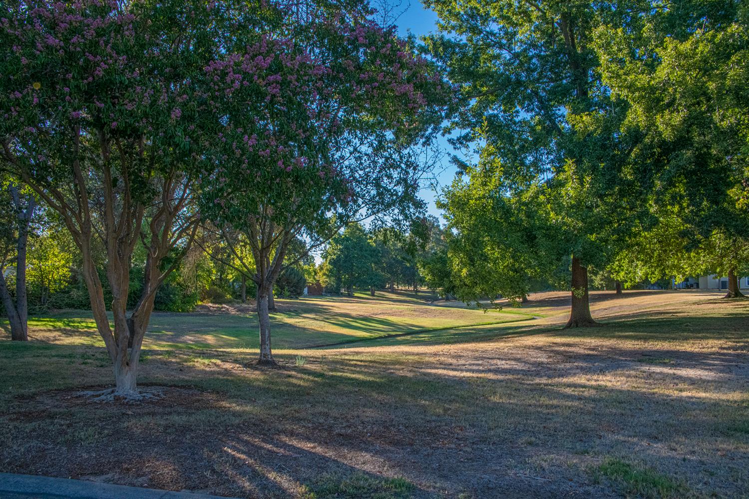 6912 Daisy Lane Citrus Heights, CA 95621 - Photo 46 of 55