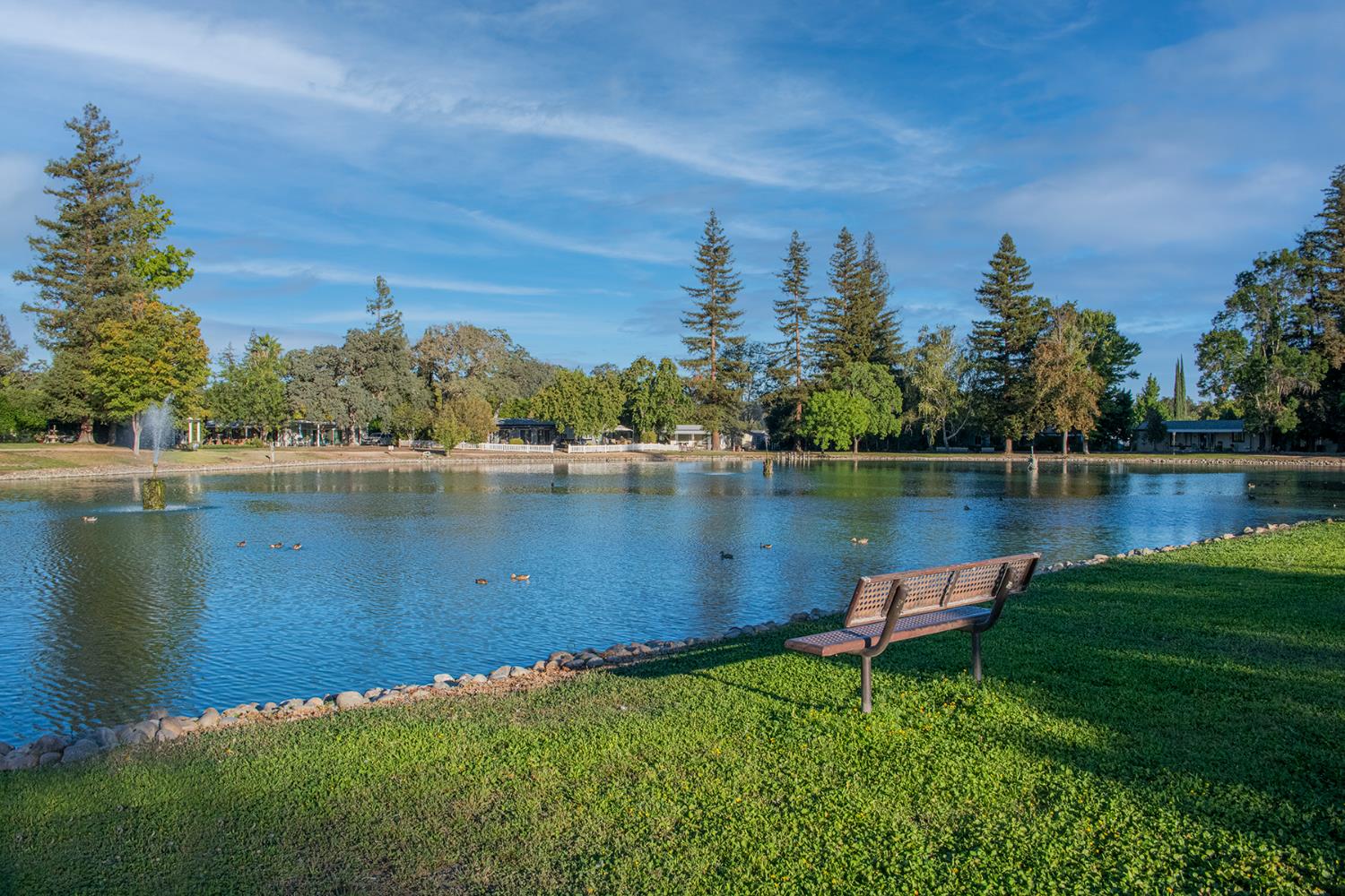 6912 Daisy Lane Citrus Heights, CA 95621 - Photo 54 of 55