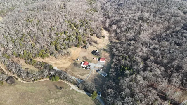 a view of a field with trees
