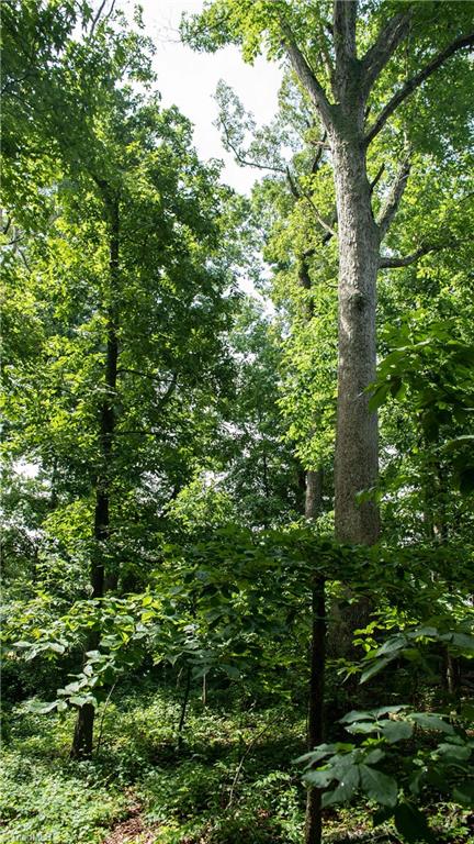 0 St Marks Church Road Bessemer City, NC 28016 - Photo 11 of 38 Gallery Image 11