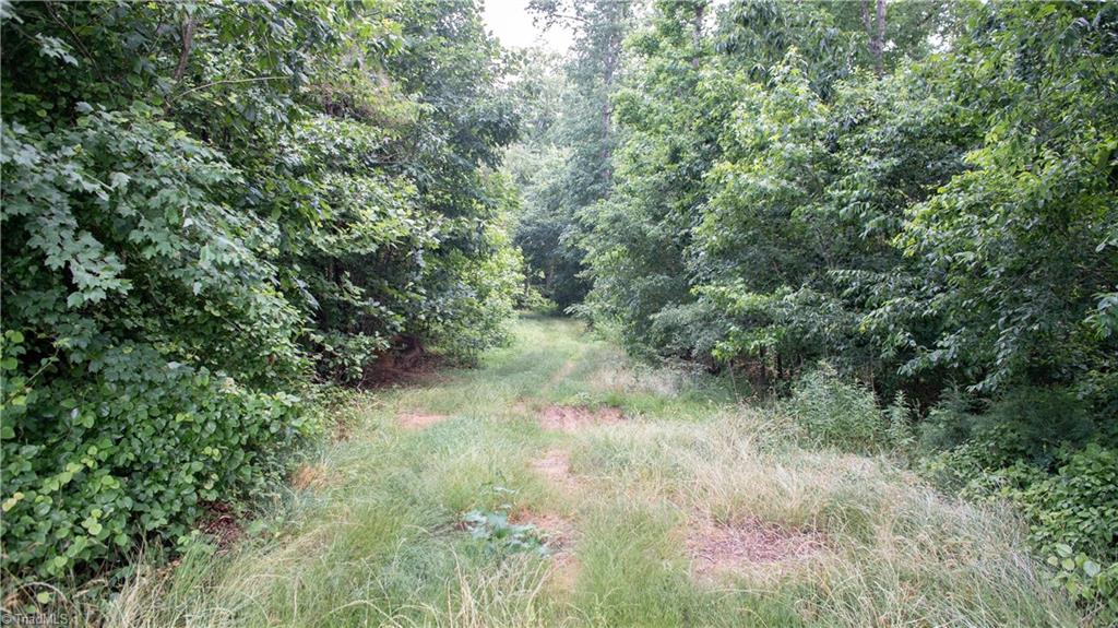 0 St Marks Church Road Bessemer City, NC 28016 - Photo 16 of 38 Gallery Image 16