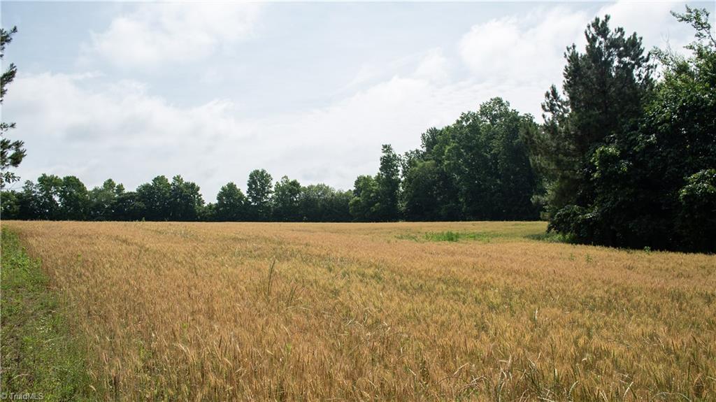 0 St Marks Church Road Bessemer City, NC 28016 - Photo 18 of 38 Gallery Image 18
