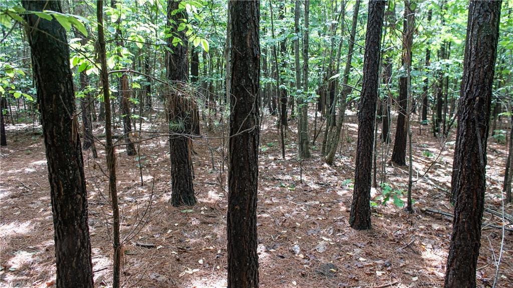 0 St Marks Church Road Bessemer City, NC 28016 - Photo 20 of 38 Gallery Image 20