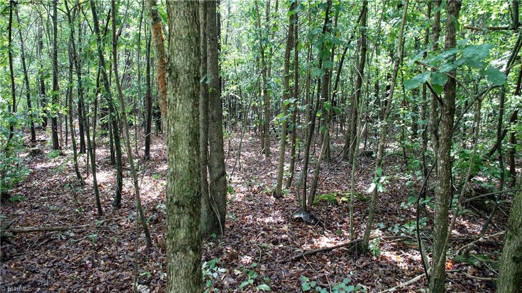0 St Marks Church Road Bessemer City, NC 28016 - Photo 21 of 38 Gallery Image 21