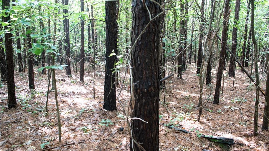 0 St Marks Church Road Bessemer City, NC 28016 - Photo 22 of 38 Gallery Image 22