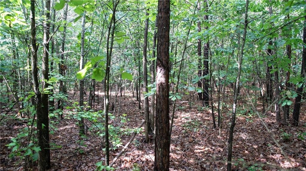 0 St Marks Church Road Bessemer City, NC 28016 - Photo 25 of 38 Gallery Image 25