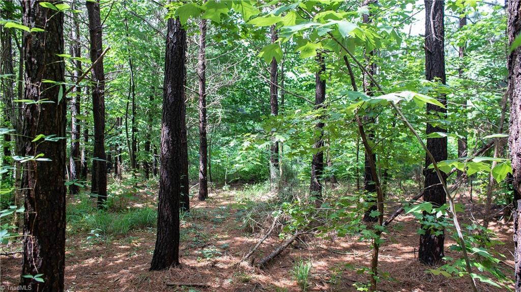 0 St Marks Church Road Bessemer City, NC 28016 - Photo 10 of 38 Gallery Image 10