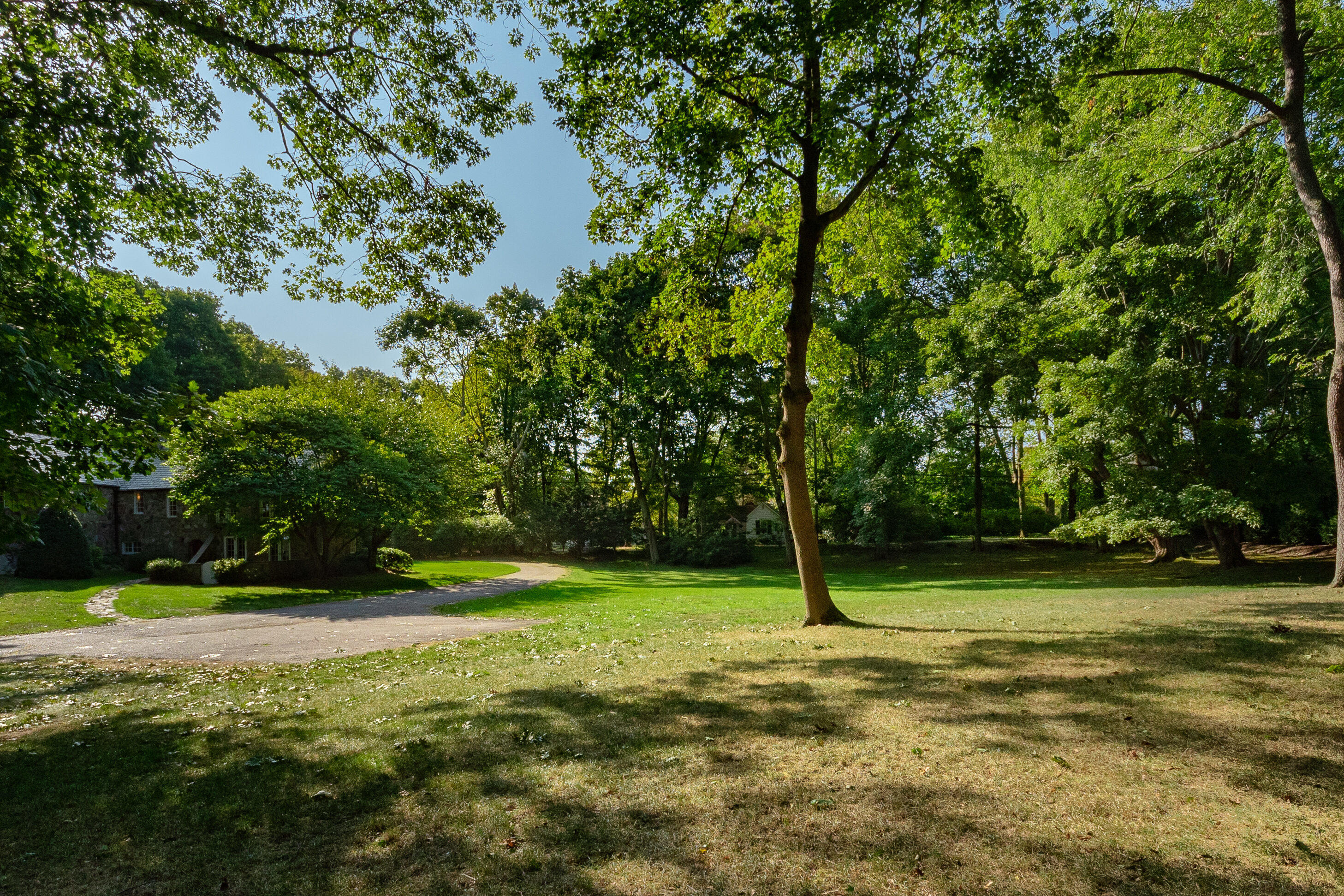 11 Searles Road Darien, CT 06820 - Photo 36 of 43 a view of a tree in a yard