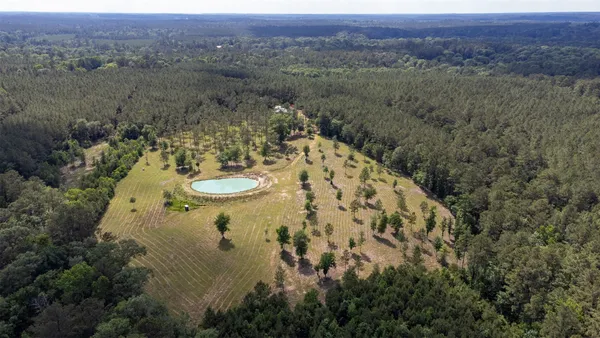 a view of a big yard with lots of green space