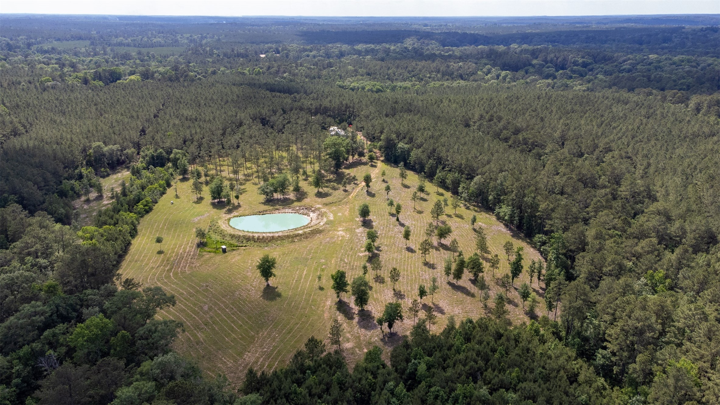 a view of a big yard with lots of green space