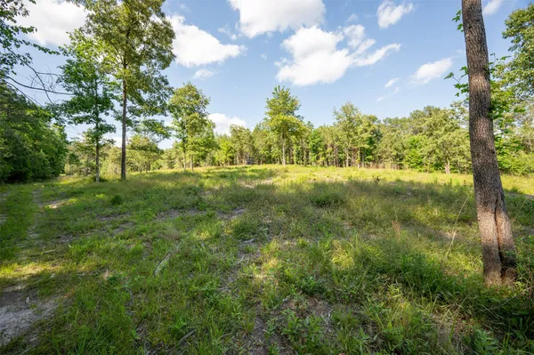 a view of a big yard with large trees