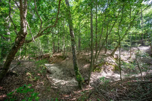 a view of yard with green space
