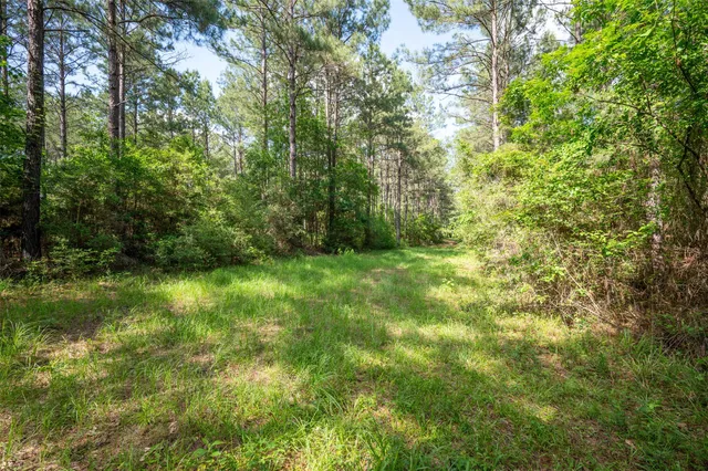 a view of outdoor space with a garden