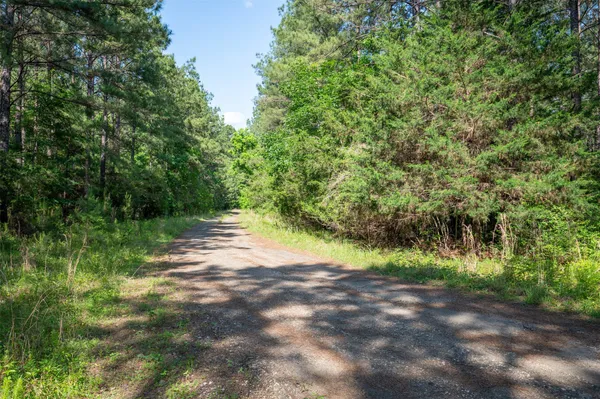 a view of a road with a yard