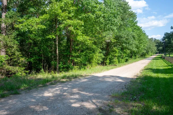 a view of a road with a plants