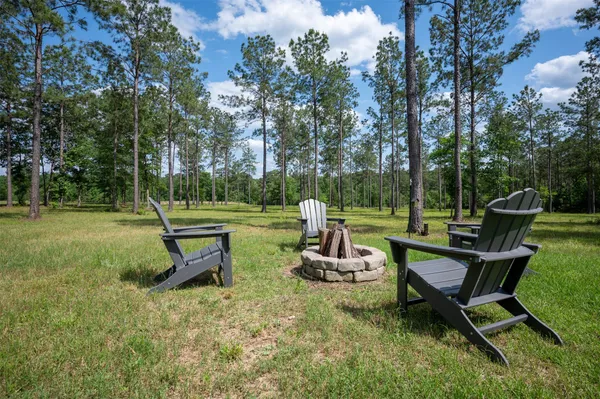 a view of a park with bench and trees