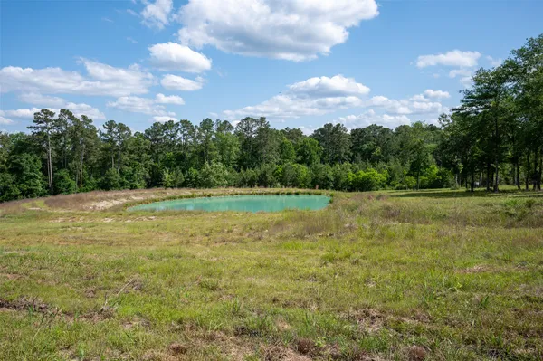 a view of a field with an ocean