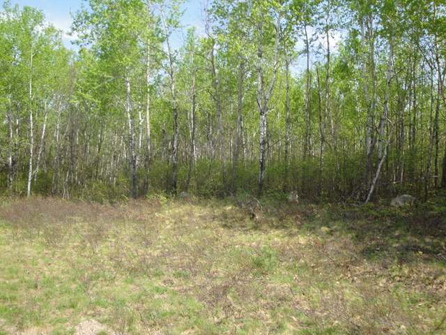 Lot 18 Autumn Lane Rhinelander, WI 54501 - Photo 6 of 9 Gallery Image 6