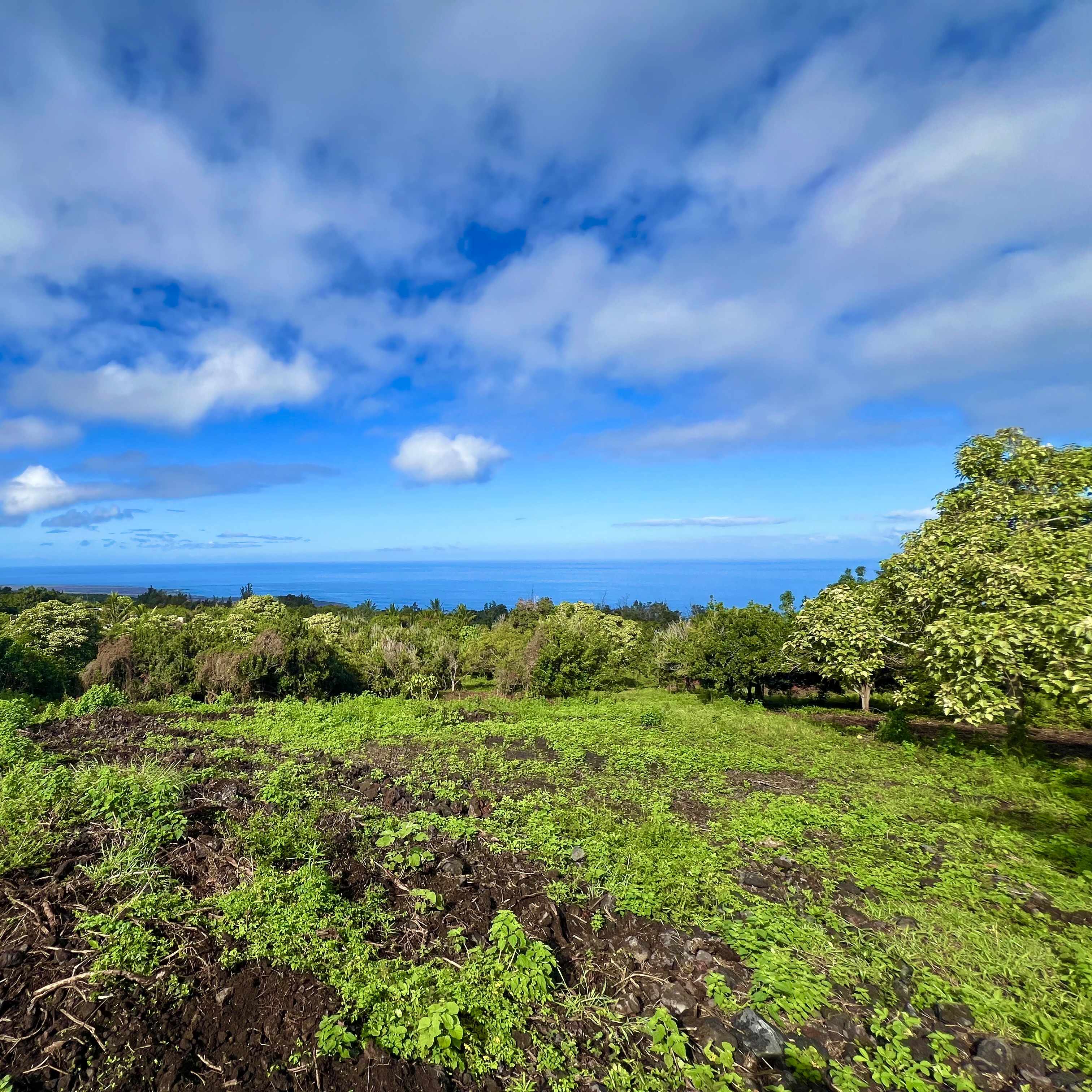 89-843 Lot 29 Pohulai Road Captain Cook, HI 96704 - Photo 6 of 28