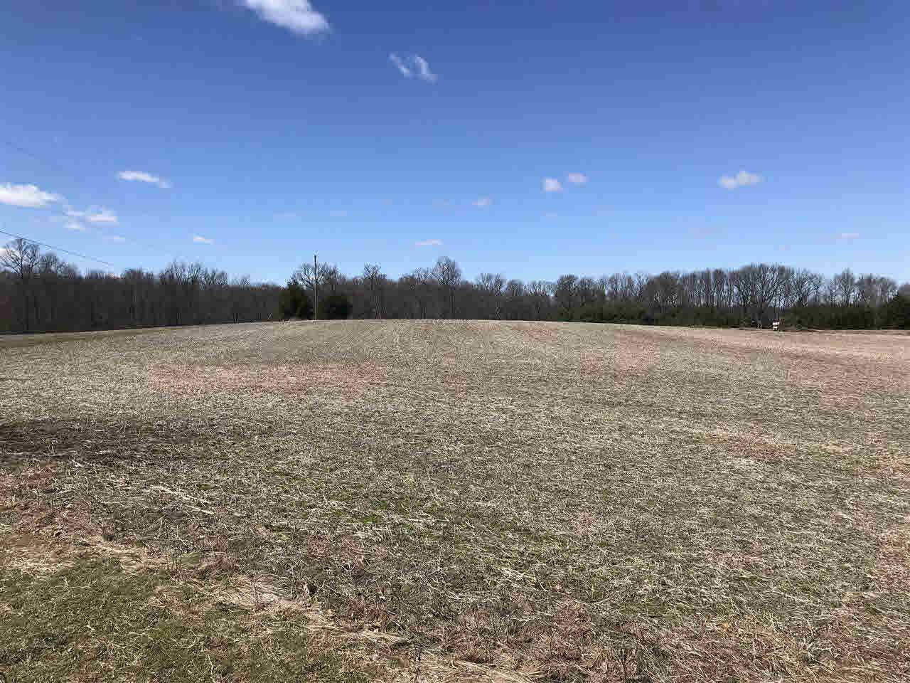 4146 Pinckney Road Howell, MI 48843 - Photo 25 of 25