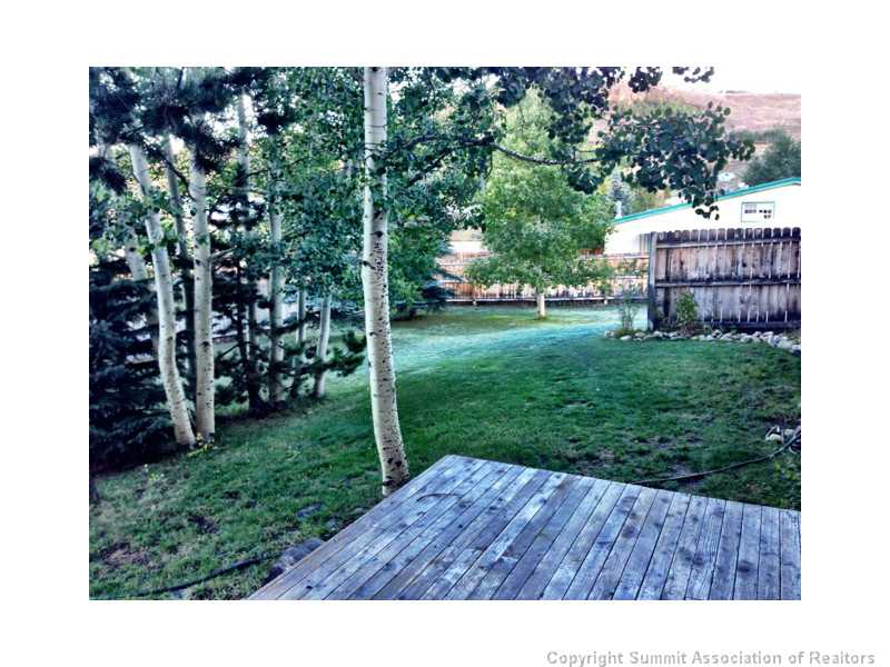 33 Big Elk Road Dillon, CO 80435 - Photo 13 of 20 Patio/Deck.