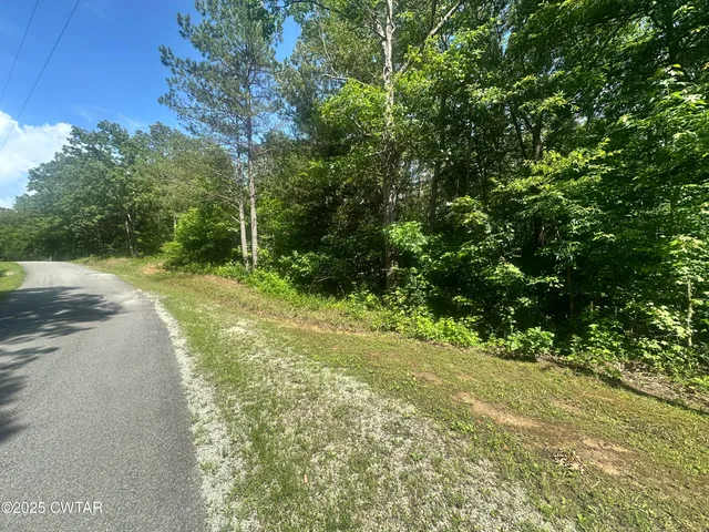a view of a yard with plants and a trees