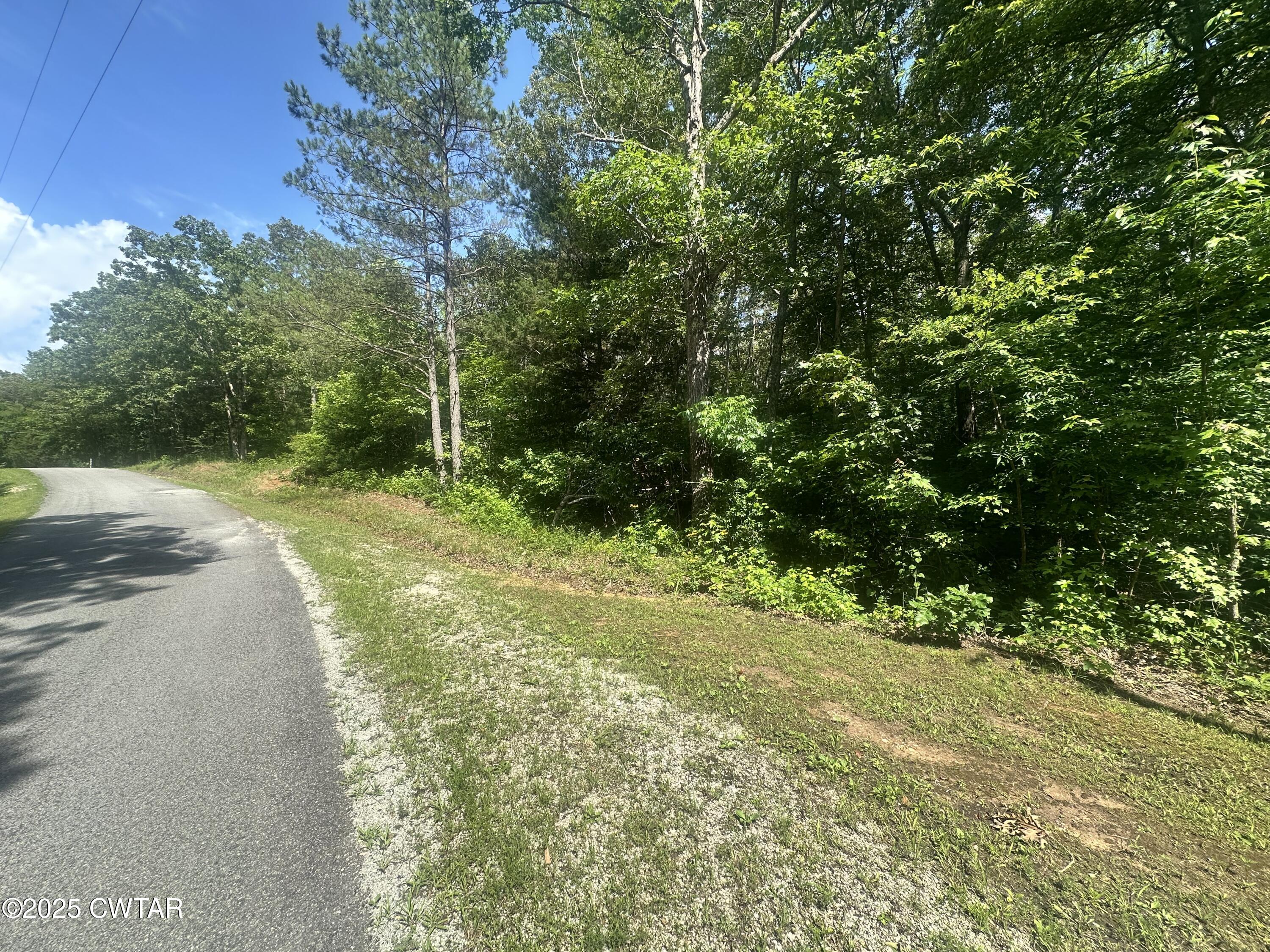 454 Logger Lane Cedar Grove, TN 38321 - Photo 2 of 2 a view of a yard with plants and a trees