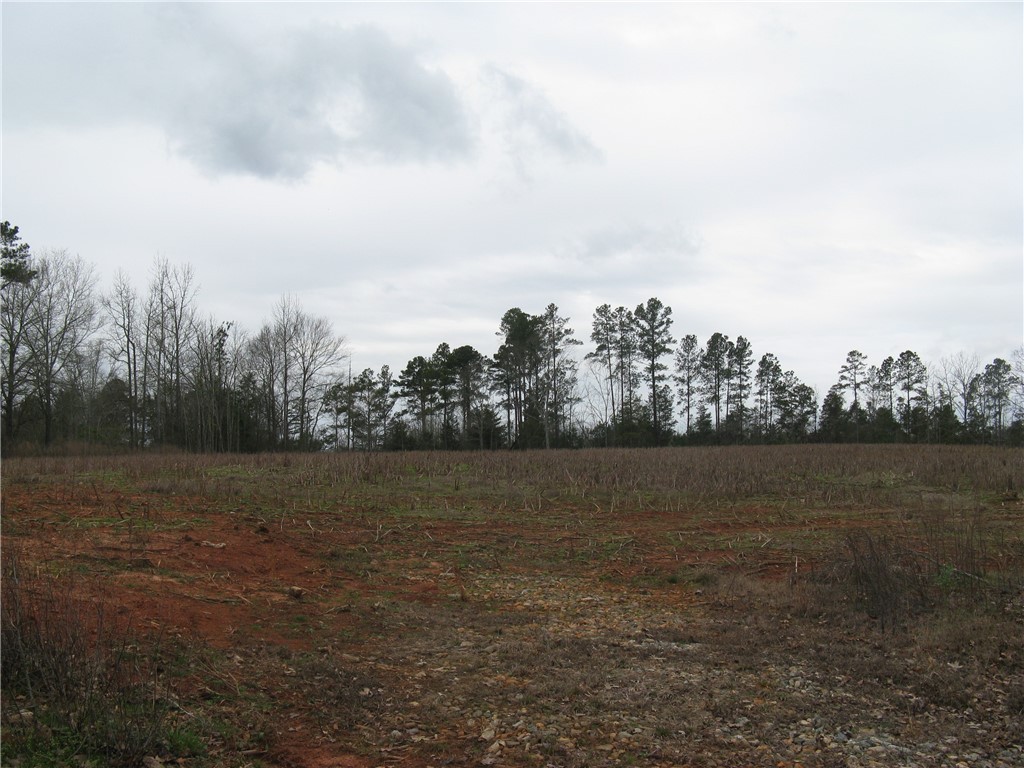 6.30-acres Brown Road Starr, SC 29684 - Photo 2 of 5
