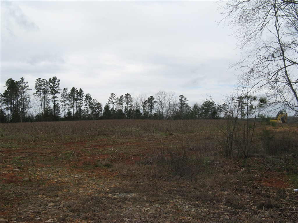 6.30-acres Brown Road Starr, SC 29684 - Photo 3 of 5