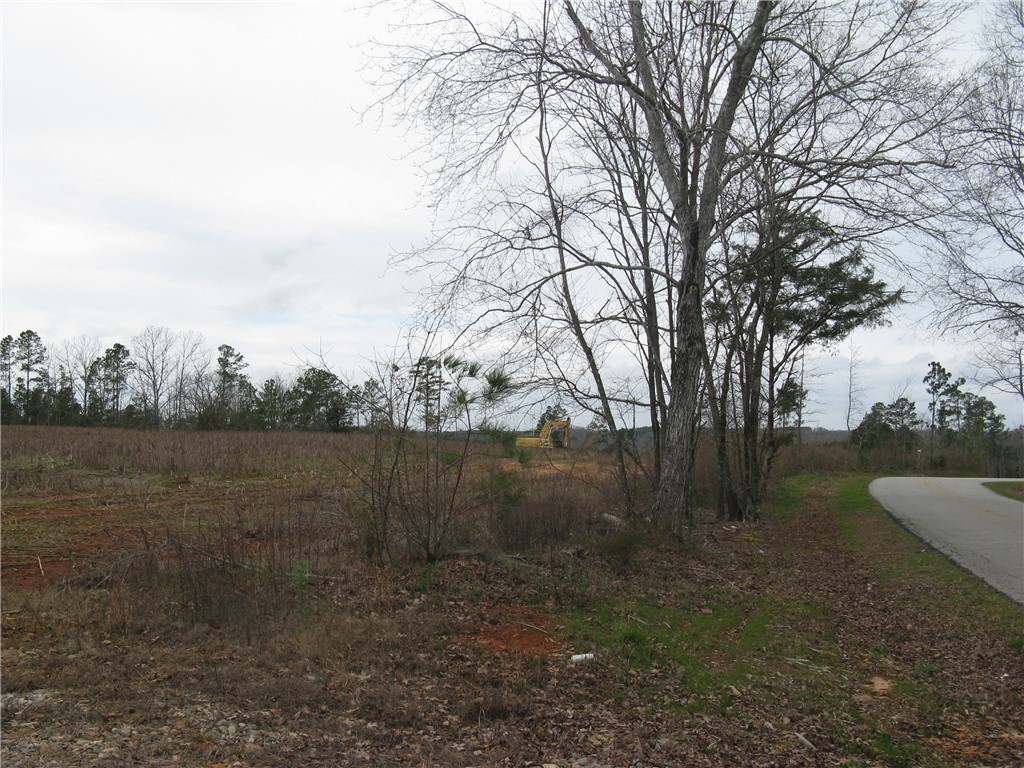 6.30-acres Brown Road Starr, SC 29684 - Photo 4 of 5