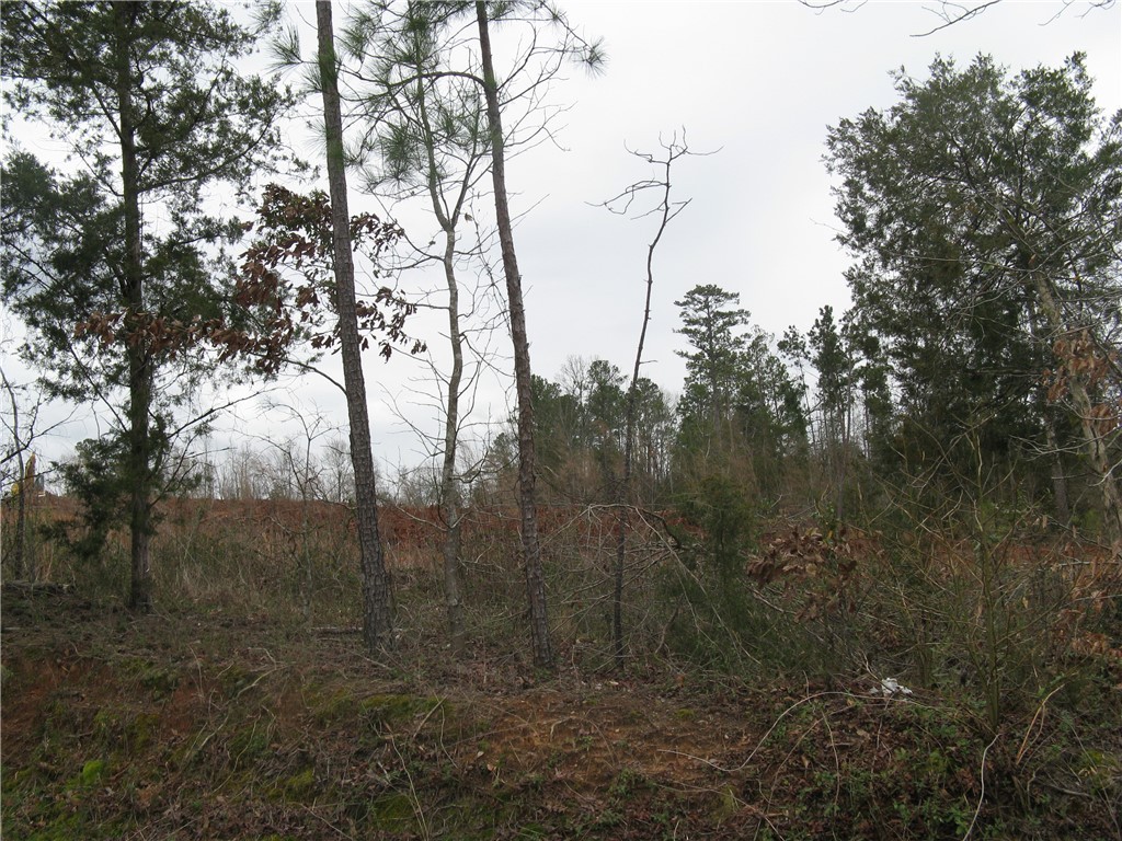 6.30-acres Brown Road Starr, SC 29684 - Photo 5 of 5